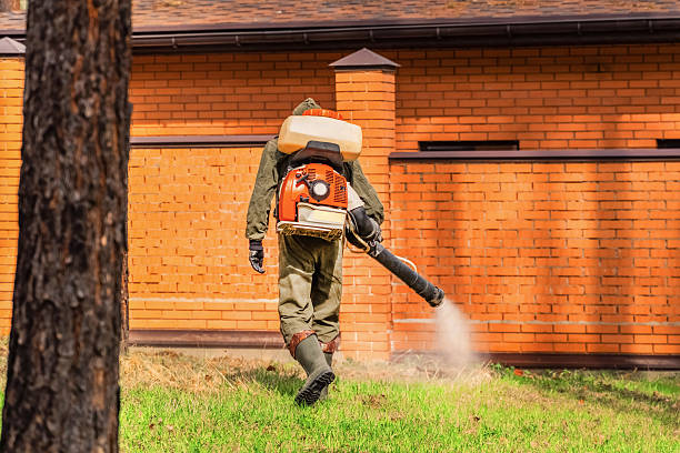 Bed Bug Clearance Verification and Documentation in Ivanhoe